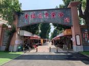 老街區(qū)里潮流新 | 一條小巷“修補(bǔ)”市井幸福