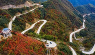 交旅融合繪新景，限定秋意入畫來