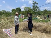 宜秀區大龍山鎮永安社區：活用六尺巷工作法 提升基層治理效能
