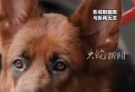 網曝巴中1歲10個月女童被狗咬傷臉部 父親：已報警 將尋找狗主人追責到底  