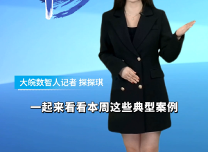 大皖一周辟谣 | 2024年第四十五期