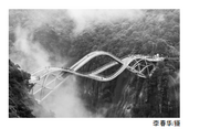 凌泽泉：敌不过油盐