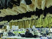 淮南：產品升級開拓海外市場