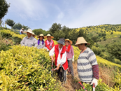 巢湖市廟崗鎮：“三個注重”做優服務，助推農業人才賦能鄉村振興