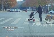 金毛滑滑板幫主人提菜籃，主人：它還會(huì)撿瓶子拿快遞，但是不會(huì)看紅綠燈 看別人走它就走