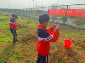 巢湖市中廟街道：“廟小苗”張開“護苗”的翅膀