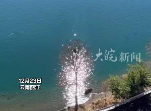 女子在泸沽湖拍到波光粼粼的水面与树木同框，“闪闪发光”的小树好梦幻！