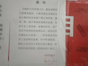 濟南一社區發布“捕殺寵物家禽”通知？最新回應