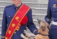 淚目！訓導員退役 警犬追車送別 狗狗不會說話 但它也懂別離