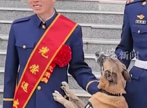 泪目！训导员退役 警犬追车送别 狗狗不会说话 但它也懂别离
