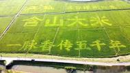 安徽：以金融之弦奏响乡村全面振兴激昂乐章