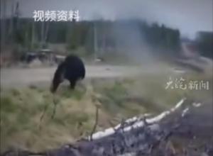 当事人讲述杀熊救妻经过 
锤打、斧劈、锛锄砍 搏斗半小时
 “拼尽全力才有活路”