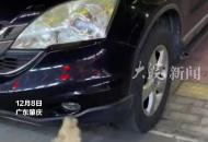 流浪狗不停抓咬小車，拍攝者稱該車把它的孩子撞死了，每天四處找車，都是抓痕