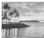 吴云飞：写作使我心情平静