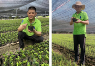 肥西：深耕苗木產業 助力鄉村振興
