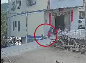 广东一汽车冲出道路坠落高坎 路边红衣孩童惊险躲过一劫 当地村委会：孩子未受伤 事故原因正在调查