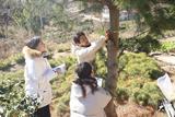 大学生团队连续12年扎根大别山 守护“植物界大熊猫”