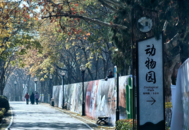 蚌埠市張公山動物園即將華麗升級