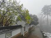 九華山風景區迎來今冬首雪