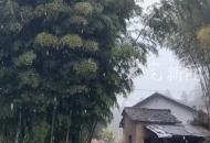 安徽岳西縣下雪了！