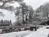 岳西鷂落坪景區雪后美如畫