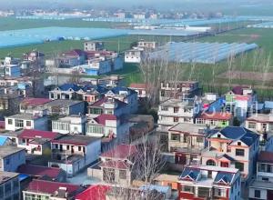24.28千米铺出乡村振兴路 临泉县前洼村公路+产业谱写致富篇章 优质草莓吸引全国客商