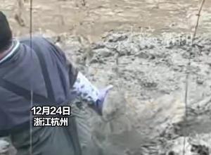 光明正大“摸鱼 ”！杭州一高校开展校园捕鱼活动 男生一己之力拿下一条50斤大鱼
