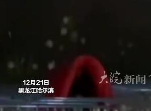 哈尔滨冰雪大世界开园第一天，游客凌晨3点零下22℃裹被子排队，“迪士尼我都没排过这么长的队”