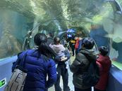 蓝海梦想启航，探索海洋之旅