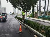 合肥瑤海區(qū)5000柱路燈更換“身份證”