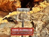 2024華龍洞遺址學(xué)術(shù)研討會(huì)在池開幕