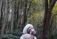 合肥大蜀山道路分批封閉施工結(jié)束 提升改造工程仍在進(jìn)行 山頂觀景平臺(tái)暫不開放