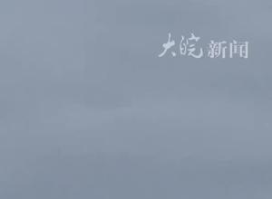 阿航客机或因撞上飞鸟而坠毁 38人遇难29人生还  调查仍在进行
