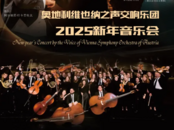 合肥迎新年，演出、电影任你选