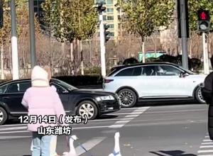 女子遛鹅过马路 绿灯亮起后抖绳子，给两只鹅急得快起飞了，网友：身上穿的是不是它俩亲戚？