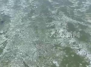 天气持续降温 黄河壶口段现流凌封河 流凌犹如巨龙横卧着
