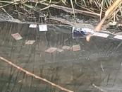 湖北大冶有人往河里撒錢 當地回應：當事人患有精神疾病，已介入處置