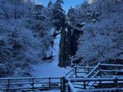 金寨天堂寨景區迎2025年初雪