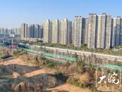 小寒“一點也不寒”，冷空氣馬上來安徽了
