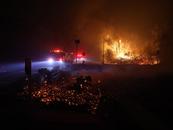 美國加州山火已致至少11人死亡 應急部門為誤發疏散警報致歉