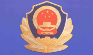 不間斷發(fā)起區(qū)域會(huì)戰(zhàn)和集群戰(zhàn)役！全國(guó)公安刑偵部門嚴(yán)打突出違法犯罪