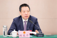 胡春華參加來安代表團審議