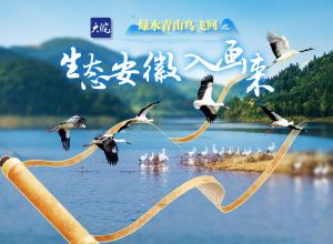 绿水青山鸟飞回 生态安徽入画来