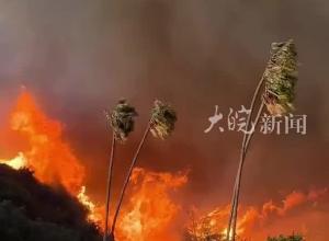 洛杉矶山火已造成至少25人伤亡，警方已逮捕14名嫌疑人