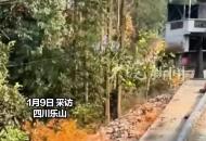 四川一村莊地面起火兩月不熄 有多個起火點 附近兩戶居民暫時搬離 官方：或為煤層氣或淺層天然氣 無開采價值