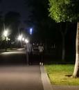 女護士散步邂逅教授，稱懷孕后被逼流產，收400萬又索要600萬