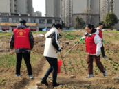 城南鎮天河灣社區開展 “清理白色垃圾，保護環境衛生”文明實踐活動