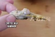 不愧是蚌埠！ 5個河蚌開出1把珍珠 女子:在街上攤販買的 之后難再遇到
