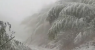 宿松北部山區羅漢尖等地迎來2025年第一場雪