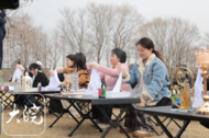 庆祝“三八”妇女节   合肥多个景点送福利